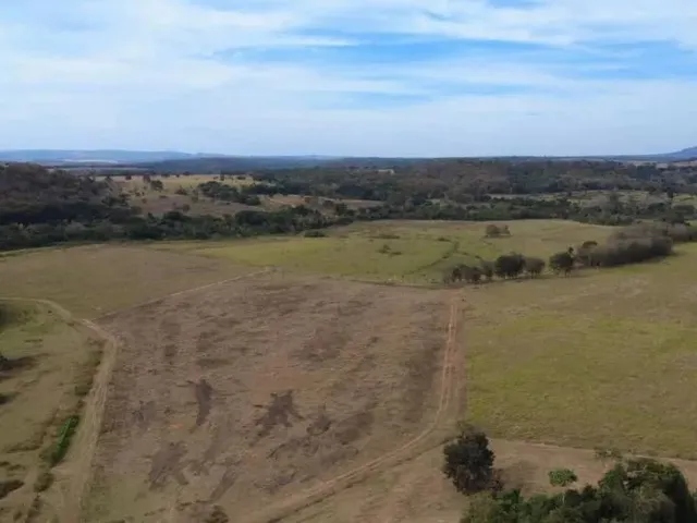 Imagem 3: Fazenda 20 Alqueires - Lavoura!