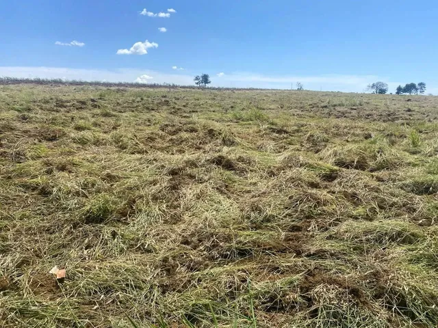 Imagem 5: Fazenda 20 Alqueires - Lavoura!