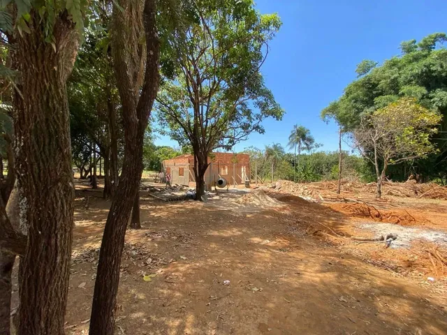Imagem 6: Fazenda 20 Alqueires - Lavoura!