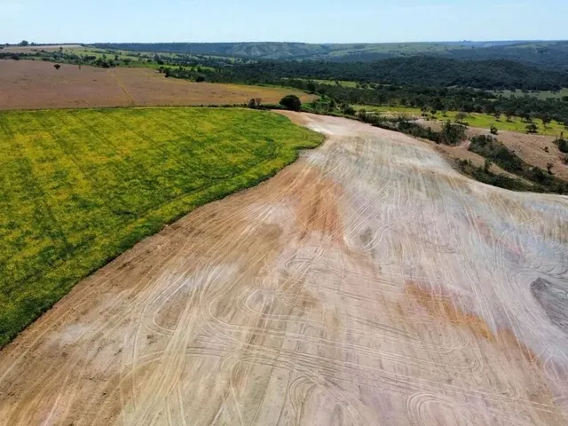 Imagem 7: Fazenda 20 Alqueires - Lavoura!