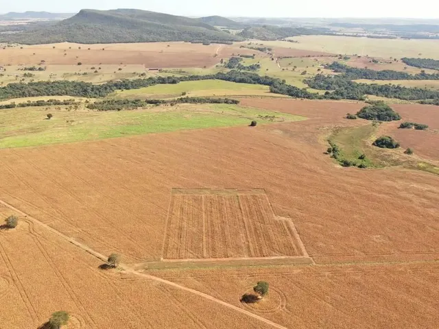 Imagem 8: Fazenda 20 Alqueires - Lavoura!