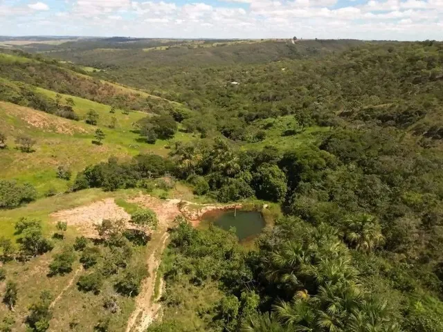Imagem: Fazenda Dupla Aptidão em Campo Alegre de