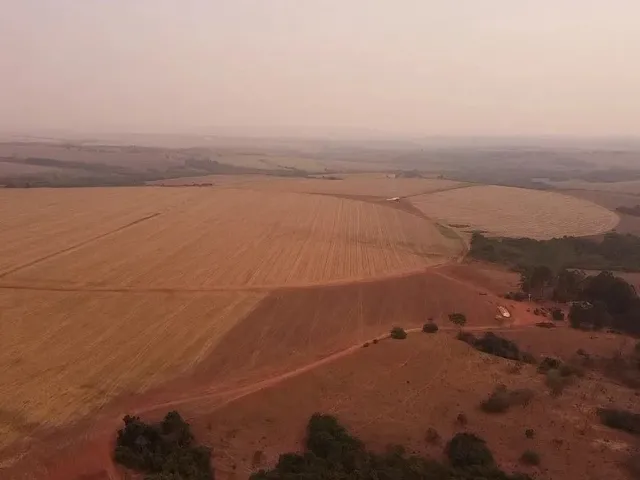 Imagem 4: Fazenda de Lavoura 46 Alqueires!