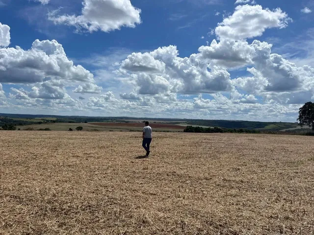 Imagem 6: Fazenda de Lavoura 46 Alqueires!