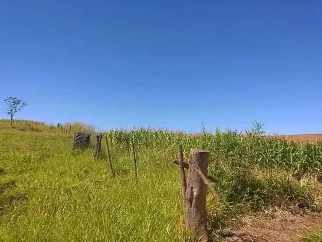 Imagem 3: Fazenda de Lavoura 46 Alqueires!