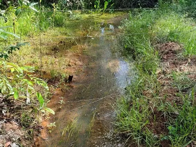 Imagem 7: Fazenda de Lavoura 46 Alqueires!