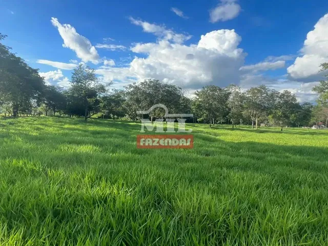 Imagem: Chácara 2 Alqueires (9,68 Hectares) Avelinópolis
