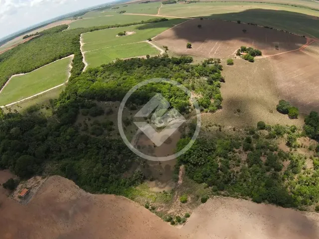 Imagem: Fazenda 3 Rosas Codigo 162076