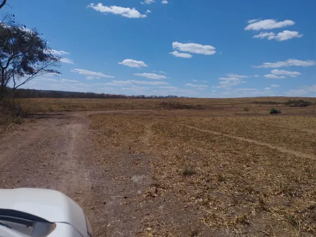 Imagem 5: Fazenda de 128 Alqueires em Doverlandia-Go
