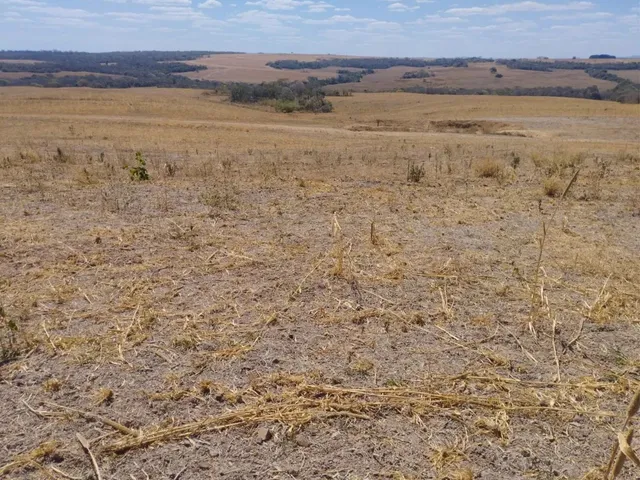 Imagem 6: Fazenda de 128 Alqueires em Doverlandia-Go