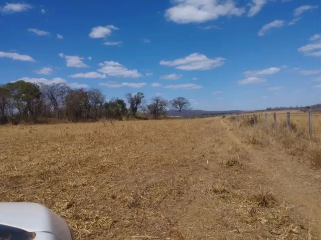 Imagem 8: Fazenda de 128 Alqueires em Doverlandia-Go