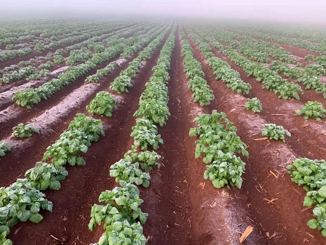 Imagem: R$120 Milhões Fazenda de 627 Alqueires