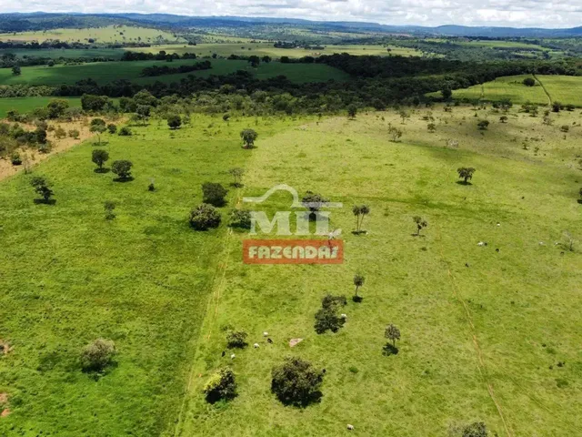 Imagem: Chácara 7,3 Alqueires (35,33 Hectares)
