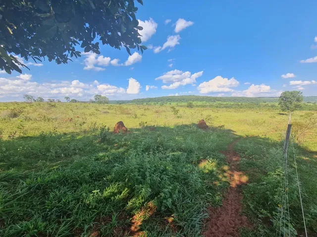 Imagem: Fazenda de 119 Alqueires em Itarumã - Go
