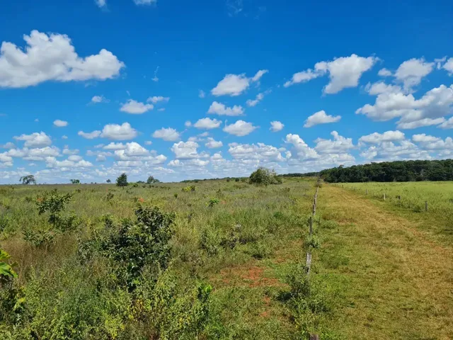 Imagem 2: Fazenda de 119 Alqueires em Itarumã - Go