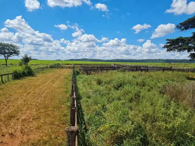 Imagem 3: Fazenda de 119 Alqueires em Itarumã - Go