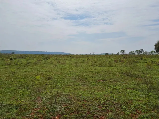 Imagem 4: Fazenda de 119 Alqueires em Itarumã - Go
