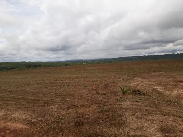 Imagem 5: 206 Alqueires em Doverlandia-Go