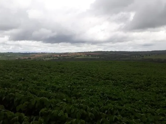 Imagem 2: 206 Alqueires em Doverlandia-Go