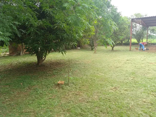 Imagem 2: .