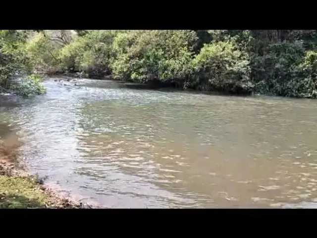 Imagem 5: .
