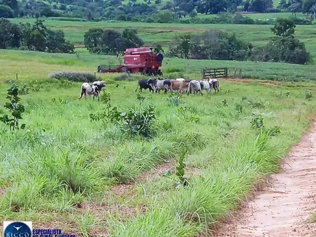 Imagem: Fazenda À Venda em Diorama Go