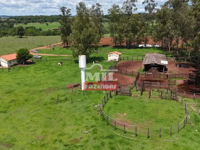 Imagem: Fazenda 32 Alqueires (154,88 Hectares) Iporá