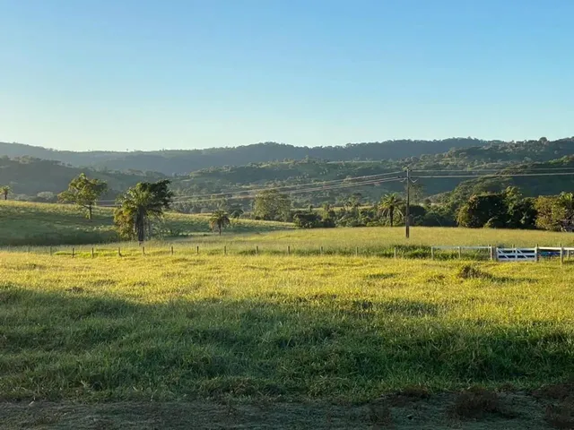 Imagem: Fazenda 302 Alq. Em São Luiz Goiás e Ivolândia