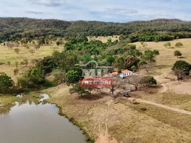 Imagem: Fazenda 47,5 Alqueires (229,3 Hectares)