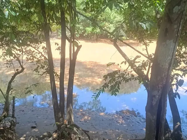 Imagem: Chácara para Lazer no Professor Jamil 2.860Mt