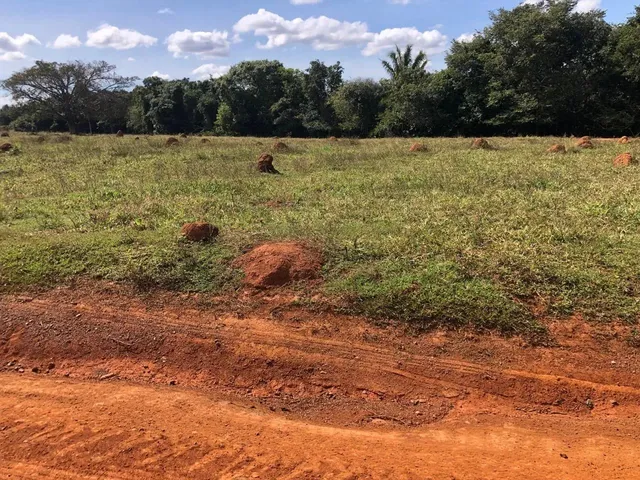 Imagem: Fazenda de 35 Alqueires