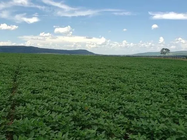 Imagem: Fazenda de 165 Alqueires a Venda em Jandaia-Go