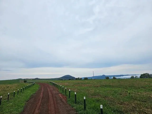 Imagem 1: Fazenda À Venda 500 Alqueires em Baliza-Go