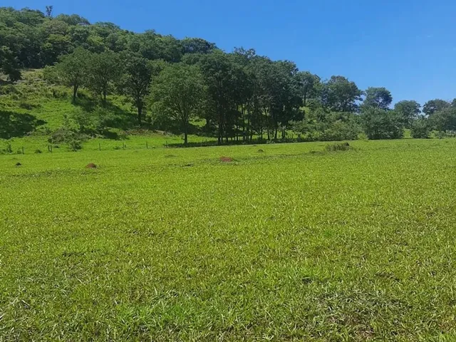 Imagem 1: Fazenda Itumbiara 18 Alqueires