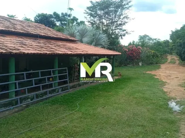 Imagem 7: Sítio de 2 Alqueires em Cristinópolis - Go a Venda!