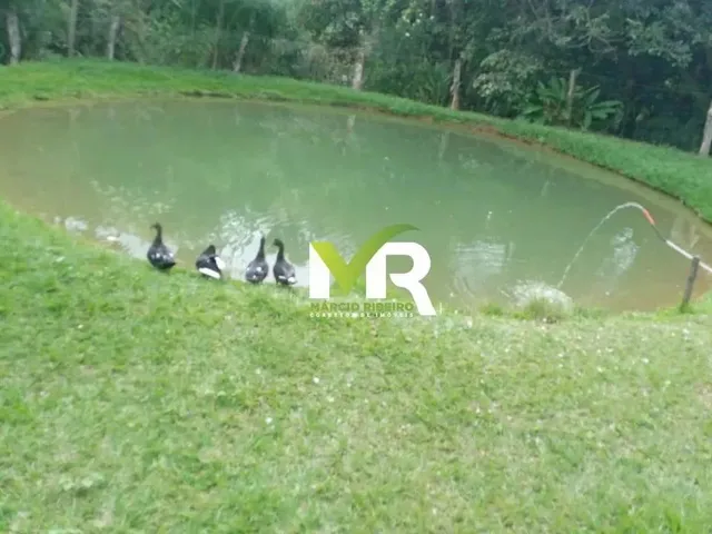 Imagem 11: Sítio de 2 Alqueires em Cristinópolis - Go a Venda!