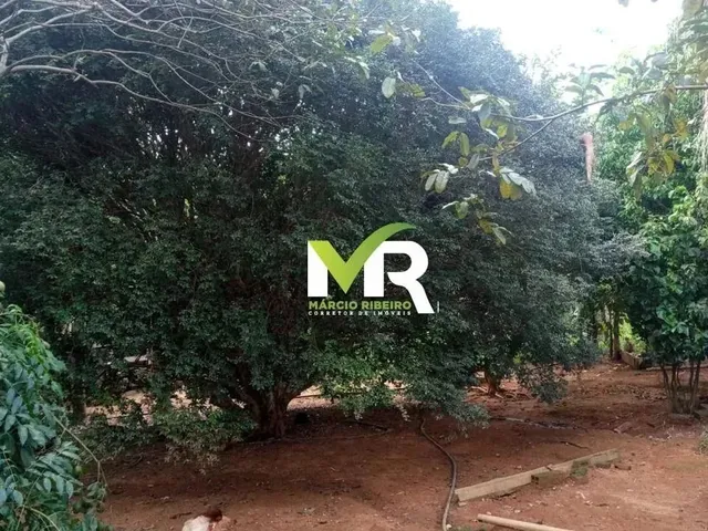 Imagem 4: Sítio de 2 Alqueires em Cristinópolis - Go a Venda!