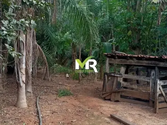 Imagem 15: Sítio de 2 Alqueires em Cristinópolis - Go a Venda!