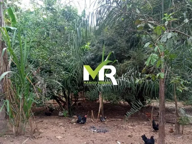 Imagem 16: Sítio de 2 Alqueires em Cristinópolis - Go a Venda!