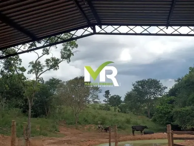 Imagem 9: Sítio de 2 Alqueires em Cristinópolis - Go a Venda!