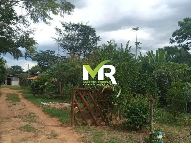 Imagem 12: Sítio de 2 Alqueires em Cristinópolis - Go a Venda!