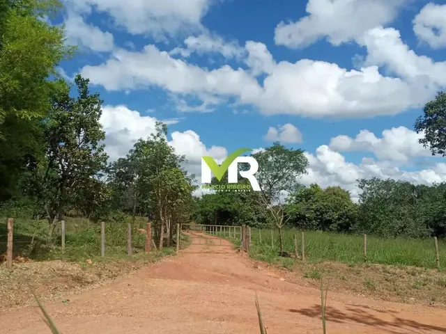 Imagem 10: Sítio de 2 Alqueires em Cristinópolis - Go a Venda!