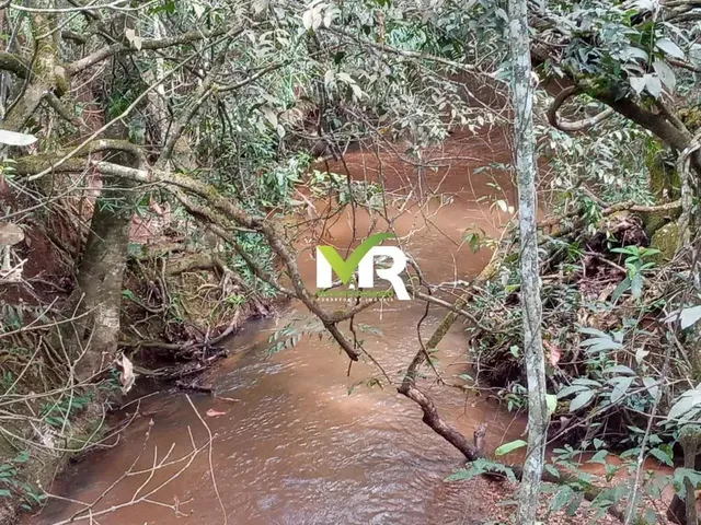 Imagem 6: Sítio de 2 Alqueires em Cristinópolis - Go a Venda!