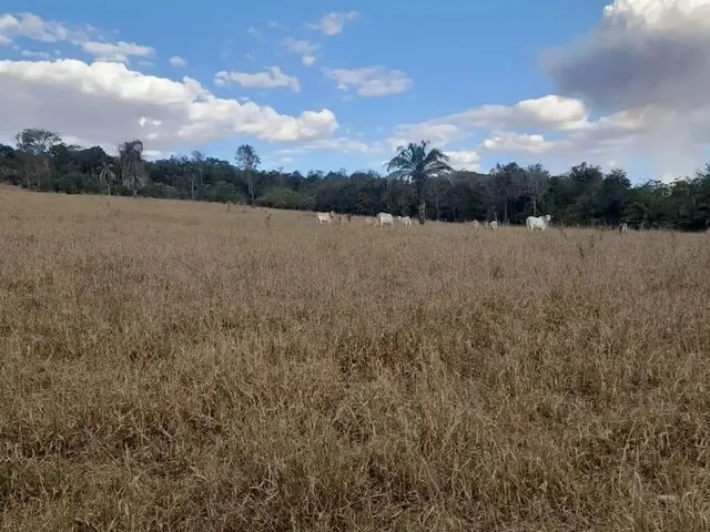 Imagem: Chácara para Venda 6 Alqueires em Zona