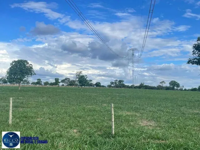 Imagem 4: Fazenda À Venda em Serranópolis (Go) 26 Alqueires