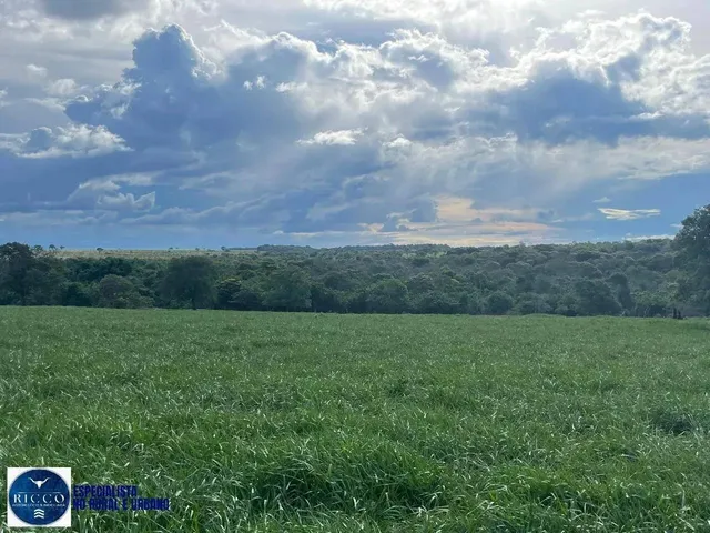 Imagem 9: Fazenda À Venda em Serranópolis (Go) 26 Alqueires