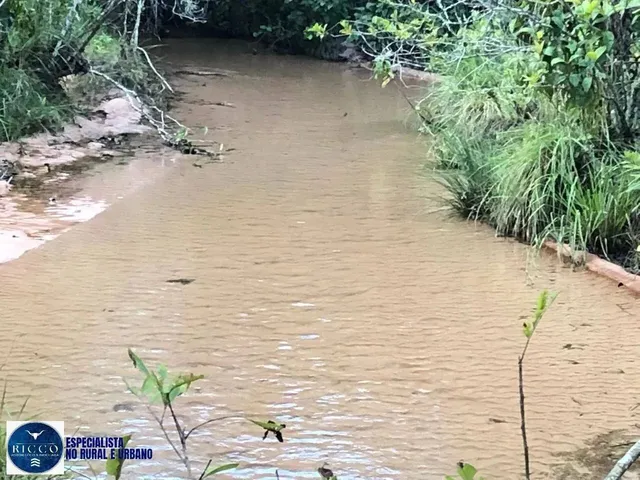 Imagem 11: Fazenda À Venda em Serranópolis (Go) 26 Alqueires