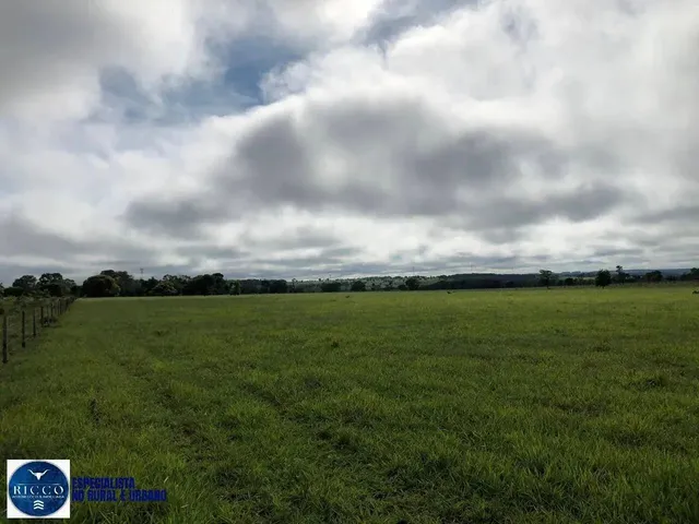 Imagem 7: Fazenda À Venda em Serranópolis (Go) 26 Alqueires