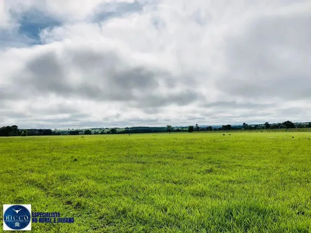 Imagem 5: Fazenda À Venda em Serranópolis (Go) 26 Alqueires