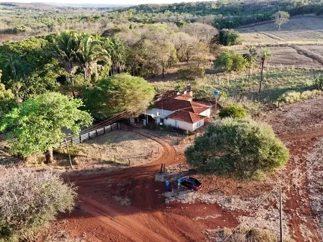 Imagem: Fazenda para Venda Tem 28 Alqueires com